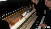 Afinador de Pianos. Lisboa