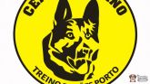 treino de cães no porto - educação canina